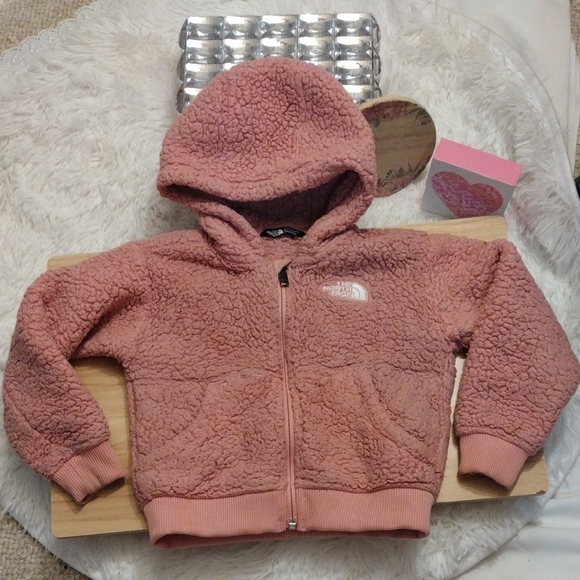 The North Face Pink Fleece Full Zip Jacket Toddler Girl Size 3 - Picture 1 of 16